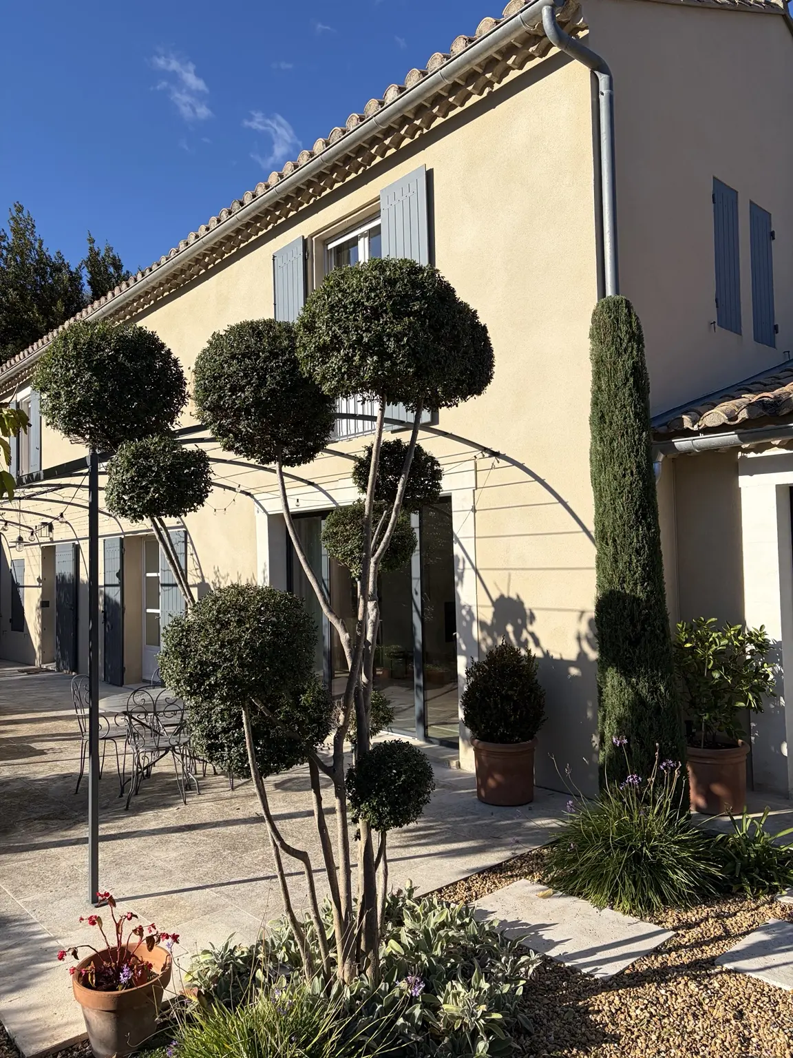 Arbustes taillés en topiaires devant une maison provençale